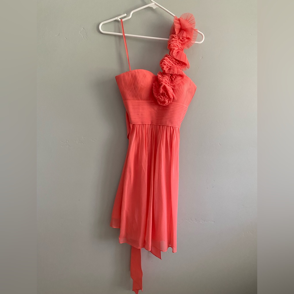 Bcbgmaxazria Chiffon One Should Dress